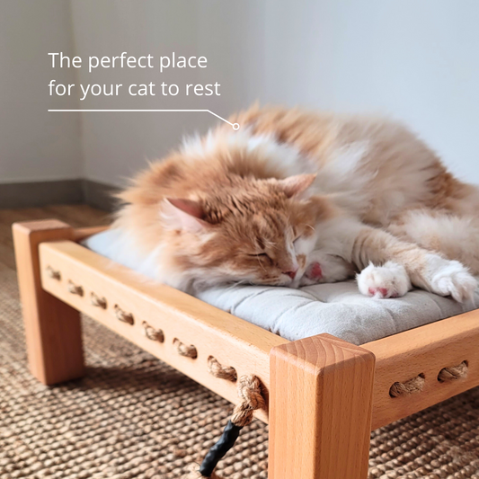 Wooden Pet Bed for Cats and Small Dogs | Homy Stork