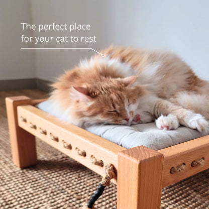 cat-bed-homystork